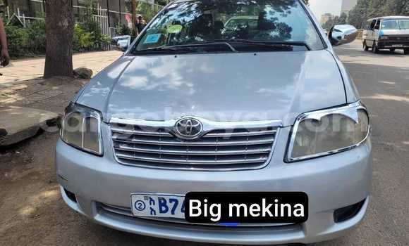 ይግዙ ያገለገለ Adler Diplomat ሌላ መኪና በ አቢይቲ–ካና በ ኢትዮጵያ