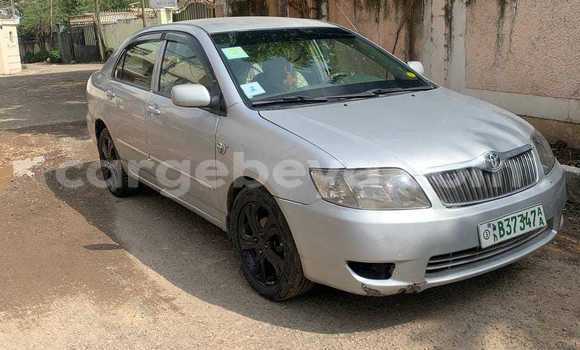 Buy Used Toyota Corolla Other Car in Addis–Ababa in Ethiopia Buy Used Toyota Corolla Other Car in Addis–Ababa in Ethiopia