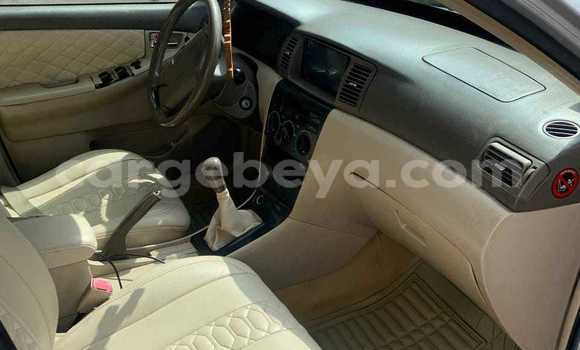 Buy Used Toyota Corolla Other Car in Addis–Ababa in Ethiopia Buy Used Toyota Corolla Other Car in Addis–Ababa in Ethiopia