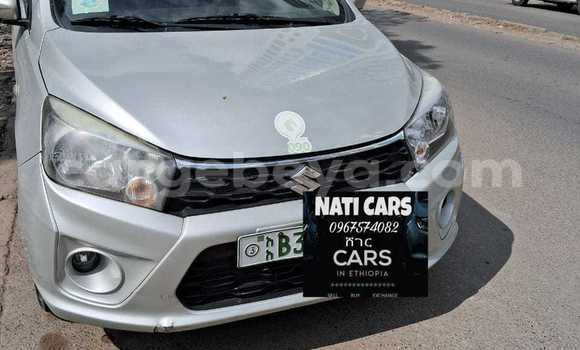 Buy Used Suzuki Celerio Other Car in Addis–Ababa in Ethiopia Buy Used Suzuki Celerio Other Car in Addis–Ababa in Ethiopia