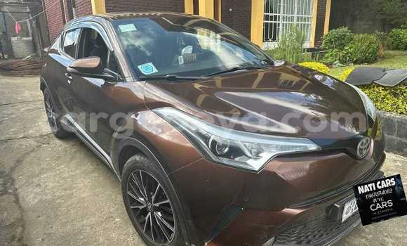 Buy Used Toyota C-HR Other Car in Addis–Ababa in Ethiopia Buy Used Toyota C-HR Other Car in Addis–Ababa in Ethiopia