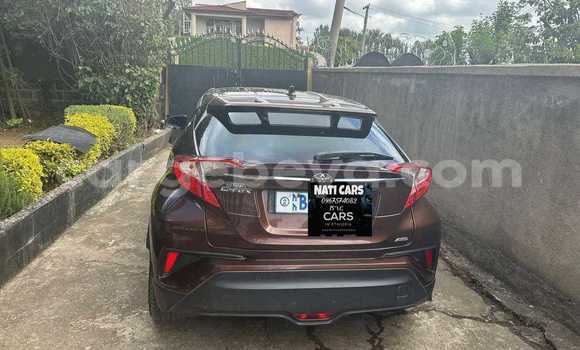 Buy Used Toyota C-HR Other Car in Addis–Ababa in Ethiopia Buy Used Toyota C-HR Other Car in Addis–Ababa in Ethiopia