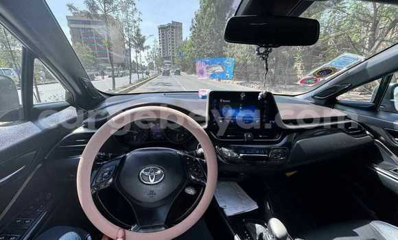 Buy Used Toyota C-HR Other Car in Addis–Ababa in Ethiopia Buy Used Toyota C-HR Other Car in Addis–Ababa in Ethiopia