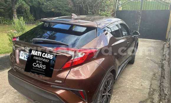 Buy Used Toyota C-HR Other Car in Addis–Ababa in Ethiopia Buy Used Toyota C-HR Other Car in Addis–Ababa in Ethiopia