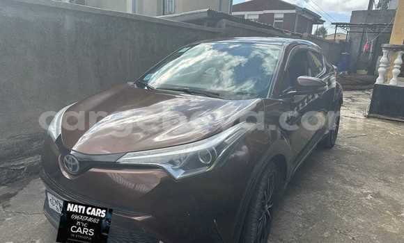 Buy Used Toyota C-HR Other Car in Addis–Ababa in Ethiopia Buy Used Toyota C-HR Other Car in Addis–Ababa in Ethiopia