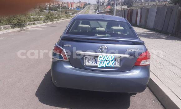 Buy Used Toyota Yaris Other Car in Addis–Ababa in Ethiopia Buy Used Toyota Yaris Other Car in Addis–Ababa in Ethiopia