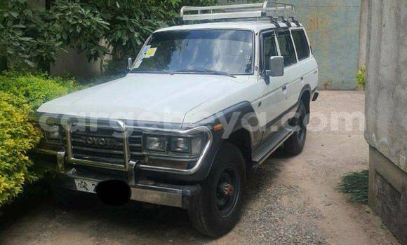 Buy Used Toyota Land Cruiser Other Car in Addis–Ababa in Ethiopia