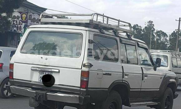 Buy Used Toyota Land Cruiser Other Car in Addis–Ababa in Ethiopia Buy Used Toyota Land Cruiser Other Car in Addis–Ababa in Ethiopia