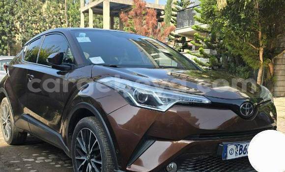 Buy Used Toyota C-HR Other Car in Addis–Ababa in Ethiopia Buy Used Toyota C-HR Other Car in Addis–Ababa in Ethiopia