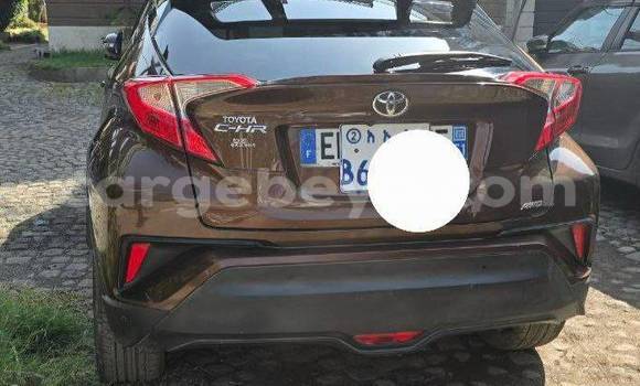 Buy Used Toyota C-HR Other Car in Addis–Ababa in Ethiopia Buy Used Toyota C-HR Other Car in Addis–Ababa in Ethiopia