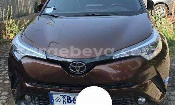 Buy Used Toyota C-HR Other Car in Addis–Ababa in Ethiopia Buy Used Toyota C-HR Other Car in Addis–Ababa in Ethiopia