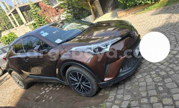 Buy Used Toyota C-HR Other Car in Addis–Ababa in Ethiopia Buy Used Toyota C-HR Other Car in Addis–Ababa in Ethiopia