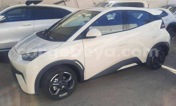 Buy Used Toyota C-HR White Car in Addigrat in Tigray Buy Used Toyota C-HR White Car in Addigrat in Tigray