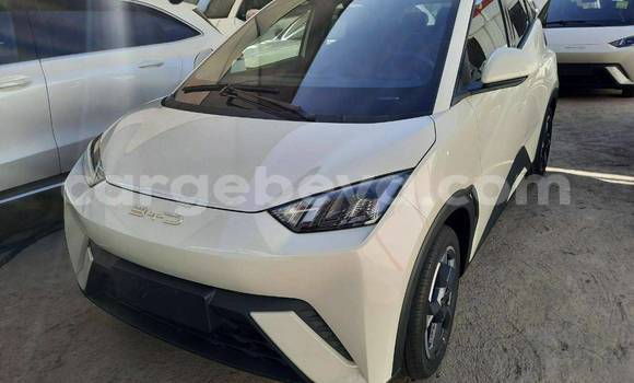 Buy Used Toyota C-HR White Car in Addigrat in Tigray Buy Used Toyota C-HR White Car in Addigrat in Tigray