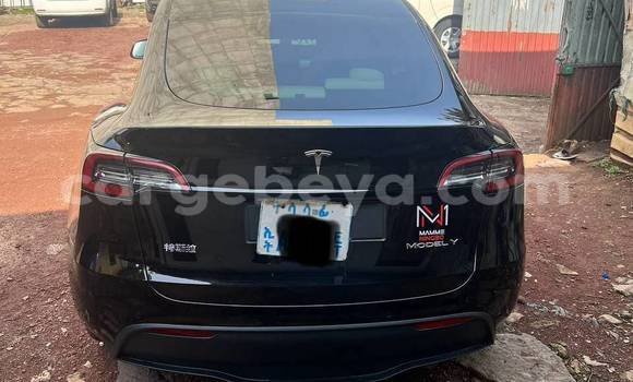 Buy Used Tesla Model 3 Black Car in Addis–Ababa in Ethiopia Buy Used Tesla Model 3 Black Car in Addis–Ababa in Ethiopia