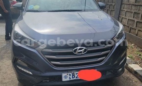 ይግዙ ያገለገለ Hyundai Tucson ሌላ መኪና በ አቢ አዲ በ ትግራይ ይግዙ ያገለገለ Hyundai Tucson ሌላ መኪና በ አቢ አዲ በ ትግራይ