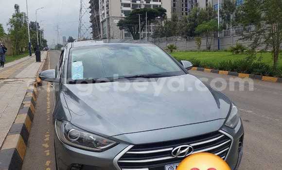 Oofamaa Hyundai Avante Other Makiinaa iti Abiy Adi keessatti Tigray keessatti