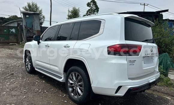 Buy Used Land Rover Defender Other Car in Abiy Adi in Tigray