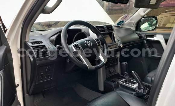 Buy Used Toyota Land Cruiser Other Car in Abiy Adi in Tigray Buy Used Toyota Land Cruiser Other Car in Abiy Adi in Tigray