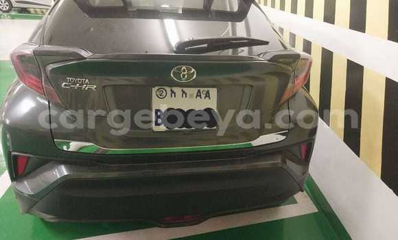 Acheter Occasion Voiture Toyota C-HR Autre à Abiy Adi, Tigray Acheter Occasion Voiture Toyota C-HR Autre à Abiy Adi, Tigray