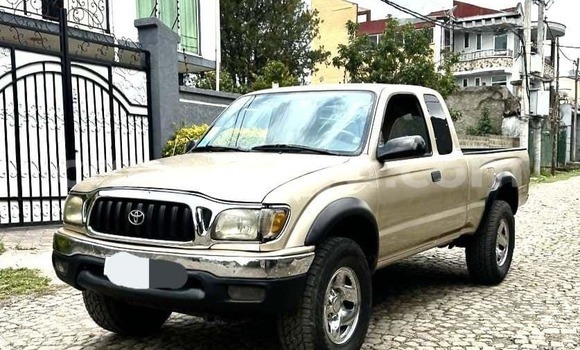 Buy Used Toyota Tacoma Other Car in Abiy Adi in Tigray
