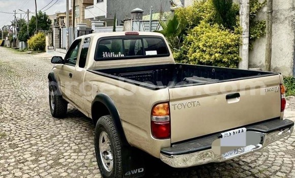 Acheter Occasion Voiture Toyota Tacoma Autre à Abiy Adi, Tigray Acheter Occasion Voiture Toyota Tacoma Autre à Abiy Adi, Tigray
