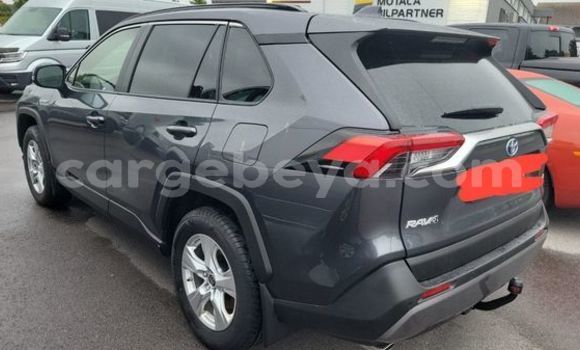 Acheter Occasion Voiture Toyota RAV4 Autre à Alem d'Addis, Amhara Acheter Occasion Voiture Toyota RAV4 Autre à Alem d'Addis, Amhara