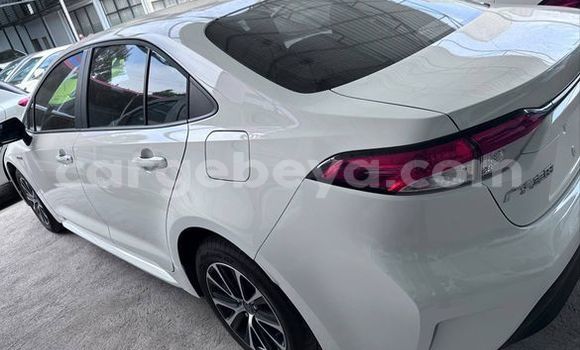 Buy Used Toyota Corolla Other Car in Addis–Ababa in Ethiopia Buy Used Toyota Corolla Other Car in Addis–Ababa in Ethiopia