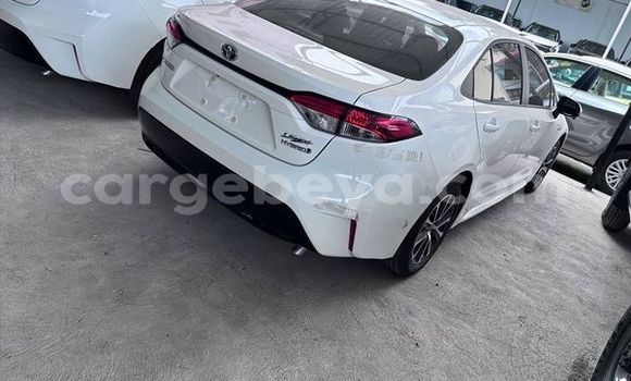 Buy Used Toyota Corolla Other Car in Addis–Ababa in Ethiopia Buy Used Toyota Corolla Other Car in Addis–Ababa in Ethiopia