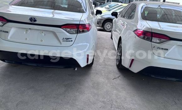 Buy Used Toyota Corolla Other Car in Addis–Ababa in Ethiopia Buy Used Toyota Corolla Other Car in Addis–Ababa in Ethiopia