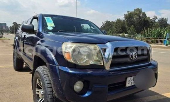 ይግዙ ያገለገለ Toyota Tacoma ሌላ መኪና በ አዲሲ–ዘመን በ ኢትዮጵያ ይግዙ ያገለገለ Toyota Tacoma ሌላ መኪና በ አዲሲ–ዘመን በ ኢትዮጵያ