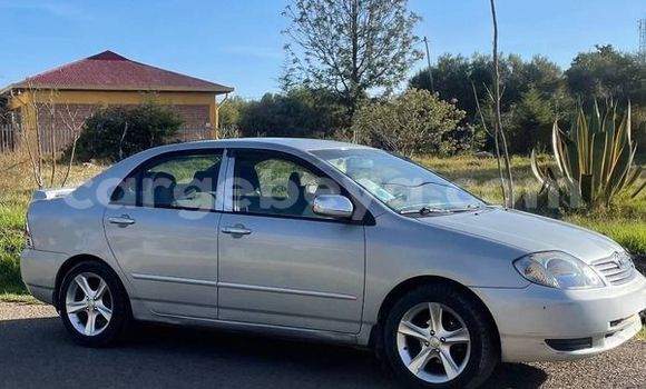 ይግዙ ያገለገለ Toyota Corolla ሌላ መኪና በ አቲ አረታይ በ አማራ ይግዙ ያገለገለ Toyota Corolla ሌላ መኪና በ አቲ አረታይ በ አማራ