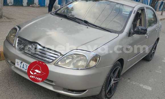 Buy Used Toyota Corolla Other Car in AddietβCanna in Ethiopia Buy Used Toyota Corolla Other Car in AddietβCanna in Ethiopia
