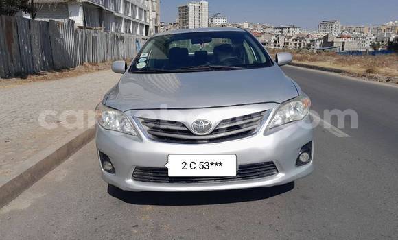 Buy Used Toyota Corolla Other Car in Abiy Adi in Tigray Buy Used Toyota Corolla Other Car in Abiy Adi in Tigray