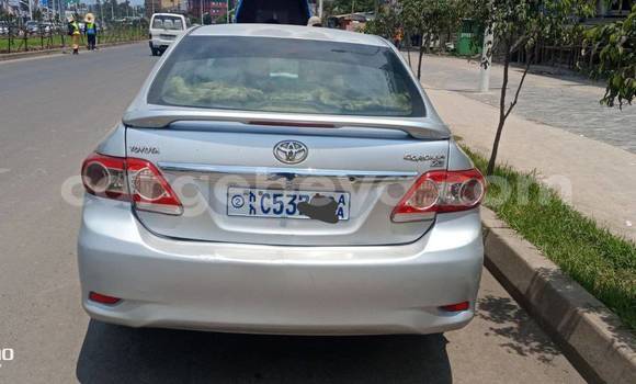 Buy Used Toyota Corolla Other Car in Abiy Adi in Tigray Buy Used Toyota Corolla Other Car in Abiy Adi in Tigray