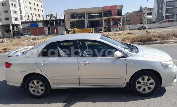 Buy Used Toyota Corolla Other Car in Abiy Adi in Tigray Buy Used Toyota Corolla Other Car in Abiy Adi in Tigray