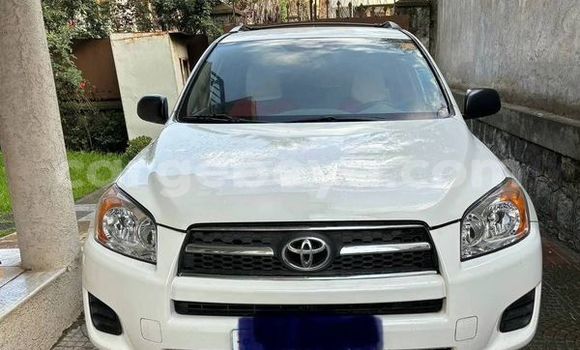 Buy Used Toyota RAV4 Other Car in Addiet–Canna in Ethiopia