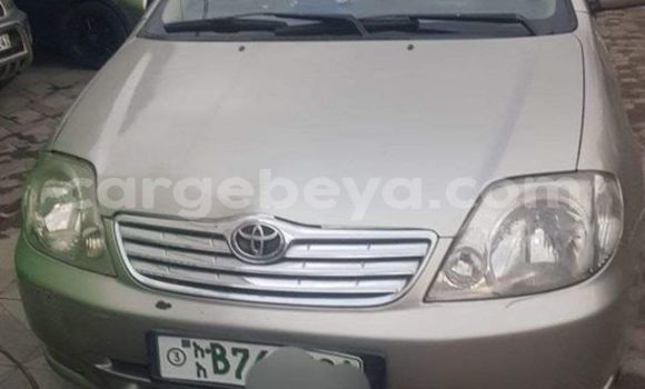 Buy Used Toyota Corolla Other Car in Addis–Ababa in Ethiopia Buy Used Toyota Corolla Other Car in Addis–Ababa in Ethiopia