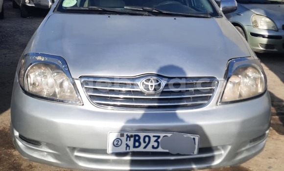 Buy Used Toyota Corolla Other Car in Addis–Ababa in Ethiopia