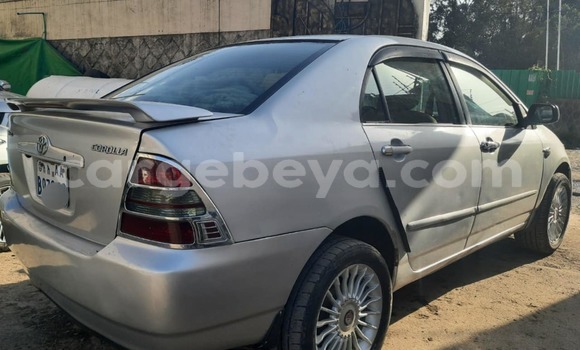 Buy Used Toyota Corolla Other Car in Addis–Ababa in Ethiopia Buy Used Toyota Corolla Other Car in Addis–Ababa in Ethiopia