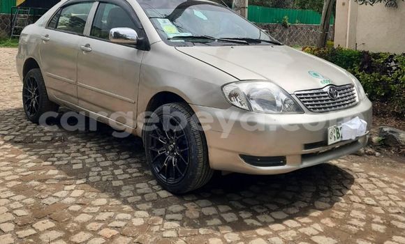 Buy Used Toyota Corolla Other Car in Addiet–Canna in Ethiopia