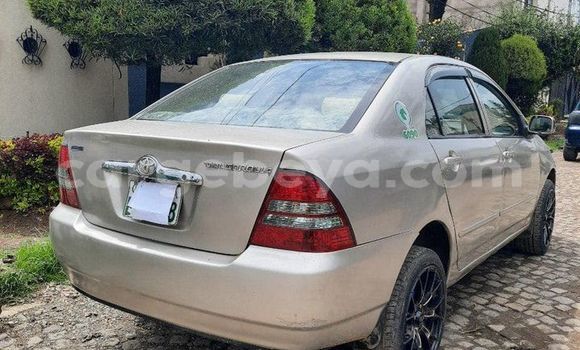Buy Used Toyota Corolla Other Car in Addiet–Canna in Ethiopia Buy Used Toyota Corolla Other Car in Addiet–Canna in Ethiopia