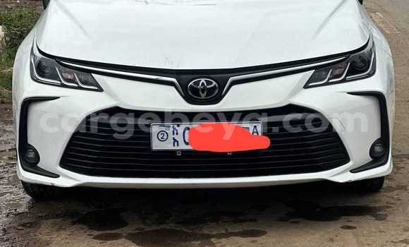 Buy Used Toyota Corolla White Car in Addis–Ababa in Ethiopia