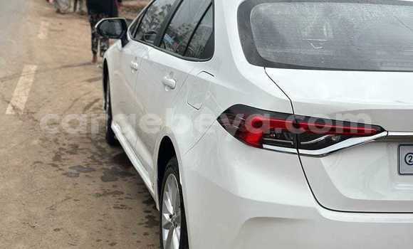 ይግዙ ያገለገለ Toyota Corolla ነጭ መኪና በ አዲስ አበባ በ ኢትዮጵያ ይግዙ ያገለገለ Toyota Corolla ነጭ መኪና በ አዲስ አበባ በ ኢትዮጵያ