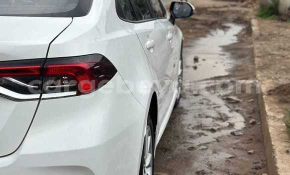 ይግዙ ያገለገለ Toyota Corolla ነጭ መኪና በ አዲስ አበባ በ ኢትዮጵያ ይግዙ ያገለገለ Toyota Corolla ነጭ መኪና በ አዲስ አበባ በ ኢትዮጵያ