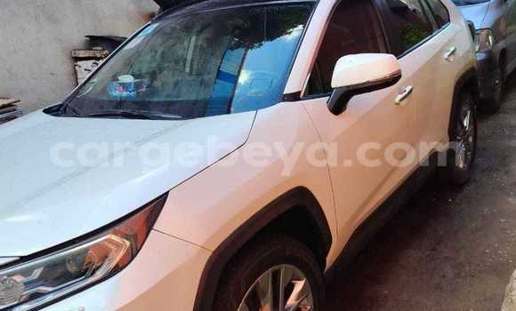 ይግዙ ያገለገለ Toyota Hilux ነጭ መኪና በ አቢይቲ–ካና በ ኢትዮጵያ ይግዙ ያገለገለ Toyota Hilux ነጭ መኪና በ አቢይቲ–ካና በ ኢትዮጵያ