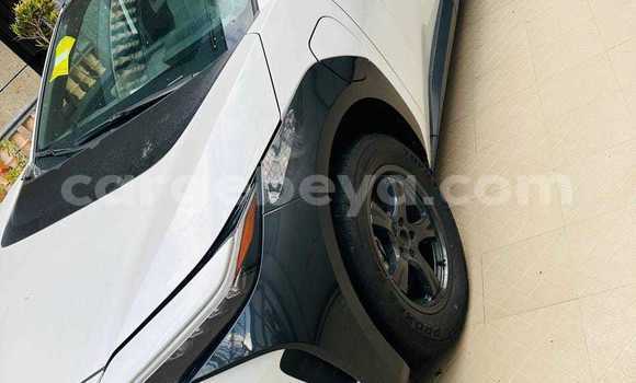 ይግዙ ያገለገለ Toyota bB ነጭ መኪና በ አዲስ አበባ በ ኢትዮጵያ ይግዙ ያገለገለ Toyota bB ነጭ መኪና በ አዲስ አበባ በ ኢትዮጵያ