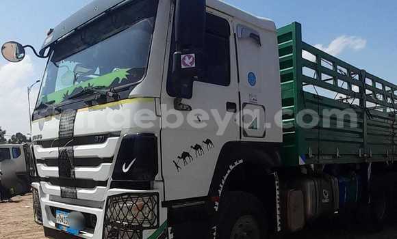 ይግዙ ያገለገለ Volvo F4 ሌላ የጭነት መኪና በ አክል በ ትግራይ ይግዙ ያገለገለ Volvo F4 ሌላ የጭነት መኪና በ አክል በ ትግራይ