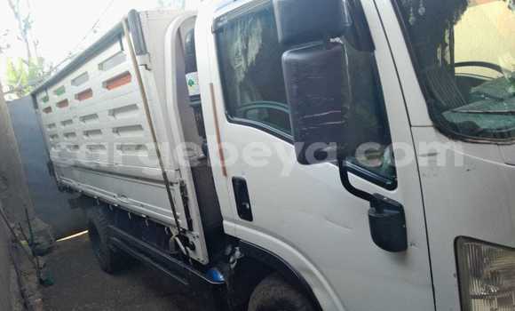 ይግዙ ያገለገለ Isuzu FTR 850 ነጭ የጭነት መኪና በ አቢይቲ–ካና በ ኢትዮጵያ ይግዙ ያገለገለ Isuzu FTR 850 ነጭ የጭነት መኪና በ አቢይቲ–ካና በ ኢትዮጵያ