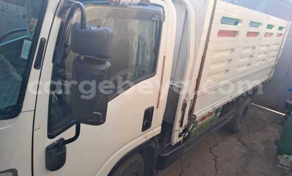 ይግዙ ያገለገለ Isuzu FTR 850 ነጭ የጭነት መኪና በ አቢይቲ–ካና በ ኢትዮጵያ ይግዙ ያገለገለ Isuzu FTR 850 ነጭ የጭነት መኪና በ አቢይቲ–ካና በ ኢትዮጵያ